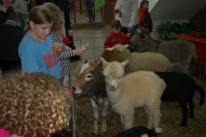 Live Nativity 1 - December 2013